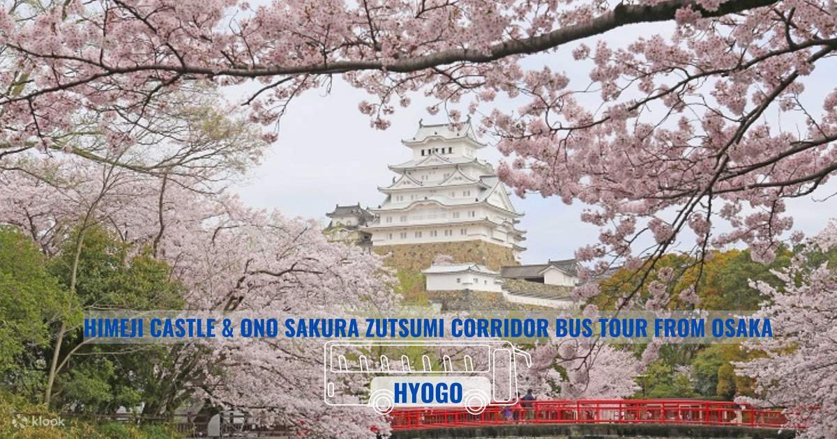 🌸 오노 벚꽃길 (오노 사쿠라즈츠미 카이로) 이미지 3